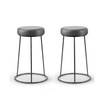 Set of 2 Amie Backless Counter Stool with Gunmetal Frame