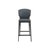 Delaney Counter Stool Gray