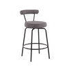 Rhonda Contemporary Counter Stool, Set of 2