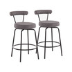 Rhonda Contemporary Counter Stool, Set of 2