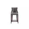 Fifth Avenue 19" 2 Piece Beech Wood Faux Leather Upholstered Counter Height Barstool Set