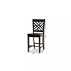 Caron Modern and Contemporary Transitional 2-Piece Finished Wood Counter Stool Set