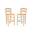 Antun 24" Counter Stool - Set of 2