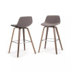 Randolph Counter Stool (Set of 2)