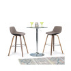 Randolph Counter Stool (Set of 2)