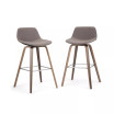 Randolph Counter Stool (Set of 2)