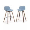 Randolph Counter Stool (Set of 2)