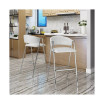 Masden Modern Barstool (Set of 2)