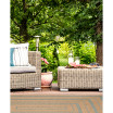Sahara Multi Border Area Rug