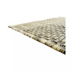 Pashio Pas6A Area Rug