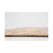 Pashio Pas6B Area Rug