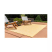 Pashio Pas6B Area Rug