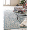 Pashio Pas6B Area Rug