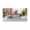 Pashio Pas6B Area Rug