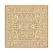Pashio Pas6B Area Rug
