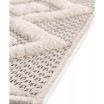 High-Low Pile Latisse Textured Outdoor LTO02 2' x 3' Area Rug