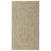 Sea Glass Rectangular Braid Indoor/Outdoor Area Rug