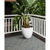 Bacalar BAC10 4' x 6' Outdoor Area Rug