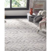 Adirondack Ivory and Light Blue 10' x 14' Area Rug
