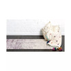 Lyon Lyo2 4' x 6' Area Rug
