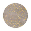 Athena ATH-5060 Taupe 4' Round Area Rug