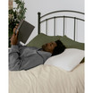 Natural Foam Latex Pillow, Pack of 2, Standard