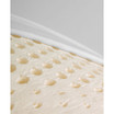 Natural Foam Latex Pillow, Pack of 2, Standard
