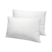 Fresh & Clean Ultra-Fresh Antimicrobial Pillows - Standard, 2-Pack