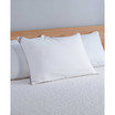 Back/Stomach Sleeper Pillow, Standard/Queen