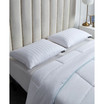 Softy-Around White Goose Feather & Down 500 Thread Count 2-Pack Pillow, Jumbo