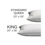 White Goose Down Firm Density Stomach Sleeper Pillow with 100% Certified RDS Down, and Removable Pillow Protector - Set of 2, Full/Queen