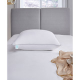 Premium Down Pillow, Jumbo