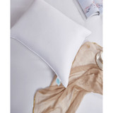 Premium Down Pillow, Jumbo