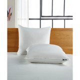 White Goose Feather & Down Fiber Back Sleeper 2-Pack Pillow, Standard/Queen