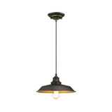 Lighting Iron Hill One-Light Indoor Pendant