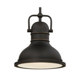 Lighting Boswell One-Light LED Indoor Mini Pendant