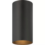 1-Light Flush Mount Cylinder Ceiling Fixture