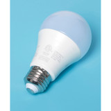A19 LED Non-Dimmable Light Bulb Set, 16 Pieces