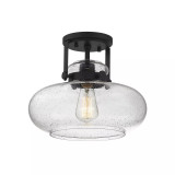 1-Light Ceiling Light