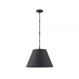 Alden Pendant Light