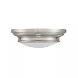 2-Light Ceiling Light