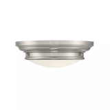 2-Light Ceiling Light