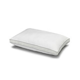 Memory Fiber Pillow 100% Cotton Luxurious Mesh Gusseted Shell All Sleeper Pillow - Standard