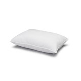 Signature Plush Memory Fiber Allergy Resistant Pillow, Standard