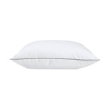 Fresh and Cool Allergy Protection Standard/Queen Pillow