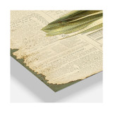 Colorful Elegant Feather On Old Style Newspaper IV Large Cottage 3 Panels Wall Clock - 23" x 23" x 1"