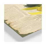 Colorful Elegant Feather On Old Style Newspaper III Oversized Cottage 3 Panels Wall Clock - 38" x 38" x 1"