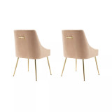 Upholstered Performance Velvet Accent Chair With Metal Leg (Set of 2)