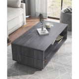 Willam Open Shelves Coffee Table