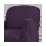 Swainson Arm Chair